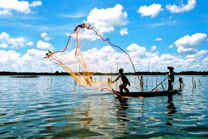 Ngư dân đánh bắt cá cơm tươi để sản xuất nước mắm